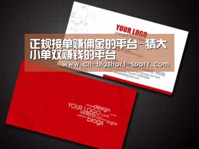项目名称八