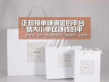 项目名称十一