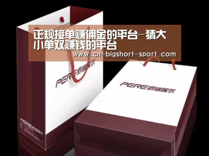 项目名称十二