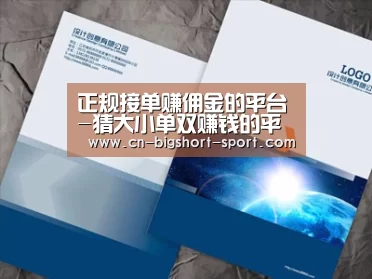 项目名称十