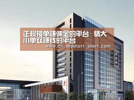 案例展示七