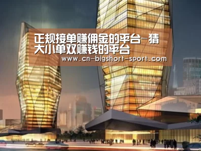 案例展示三