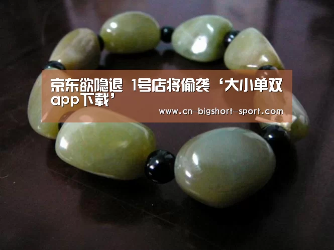 大小单双赚钱网站